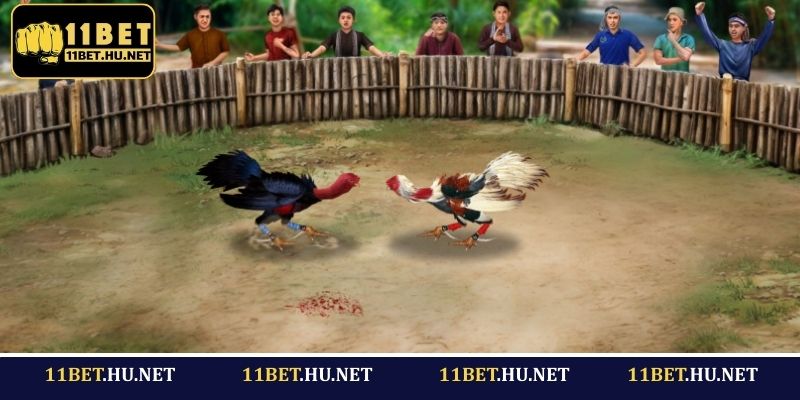 Thấu hiểu luật chơi và quy định 11BET